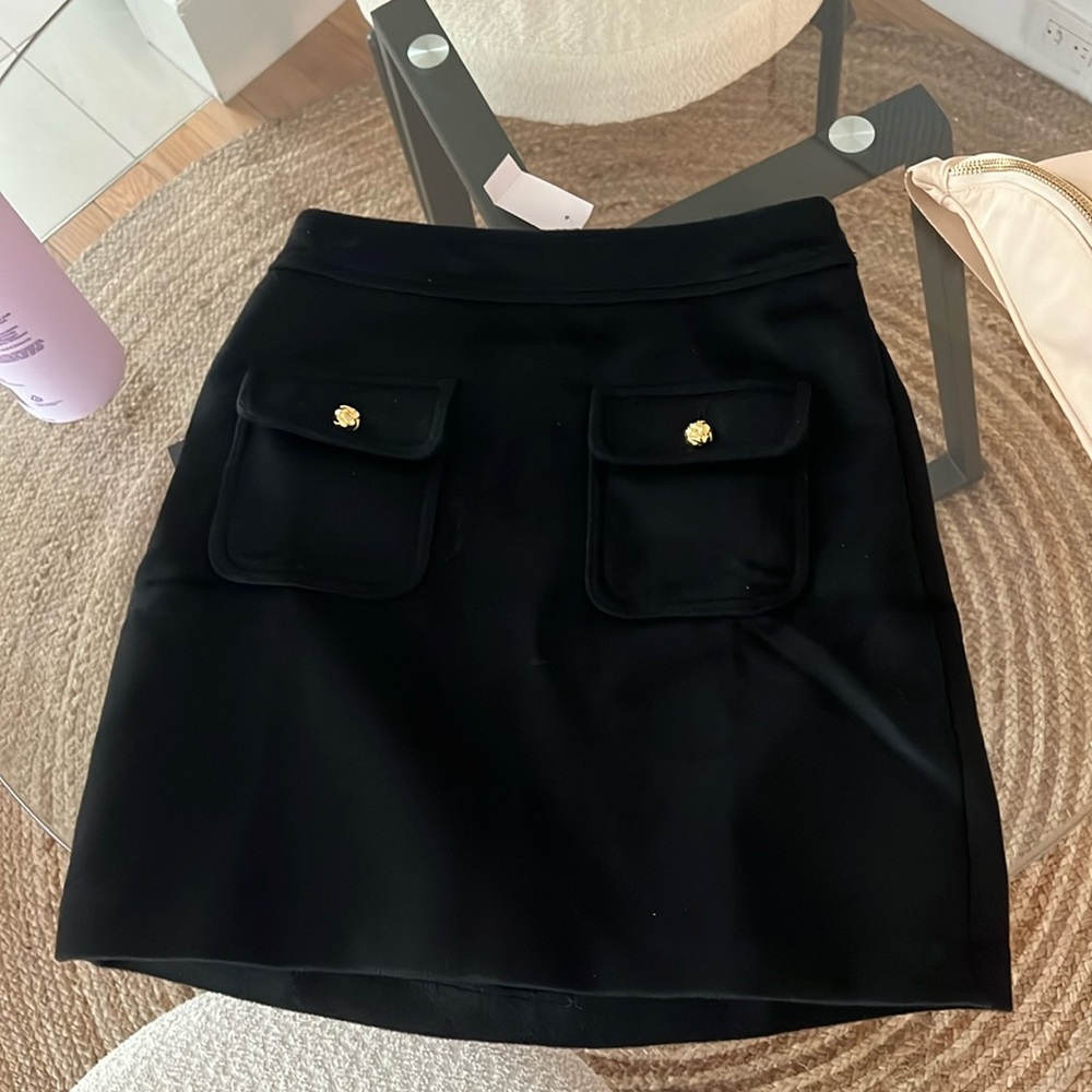 Ann Taylor loft skirt